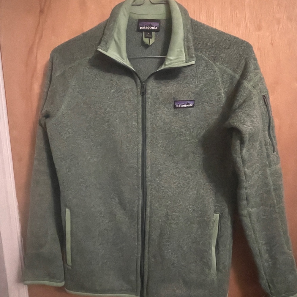 Patagonia Green Better Sweater Full Zip